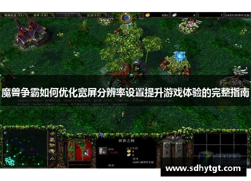 魔兽争霸如何优化宽屏分辨率设置提升游戏体验的完整指南